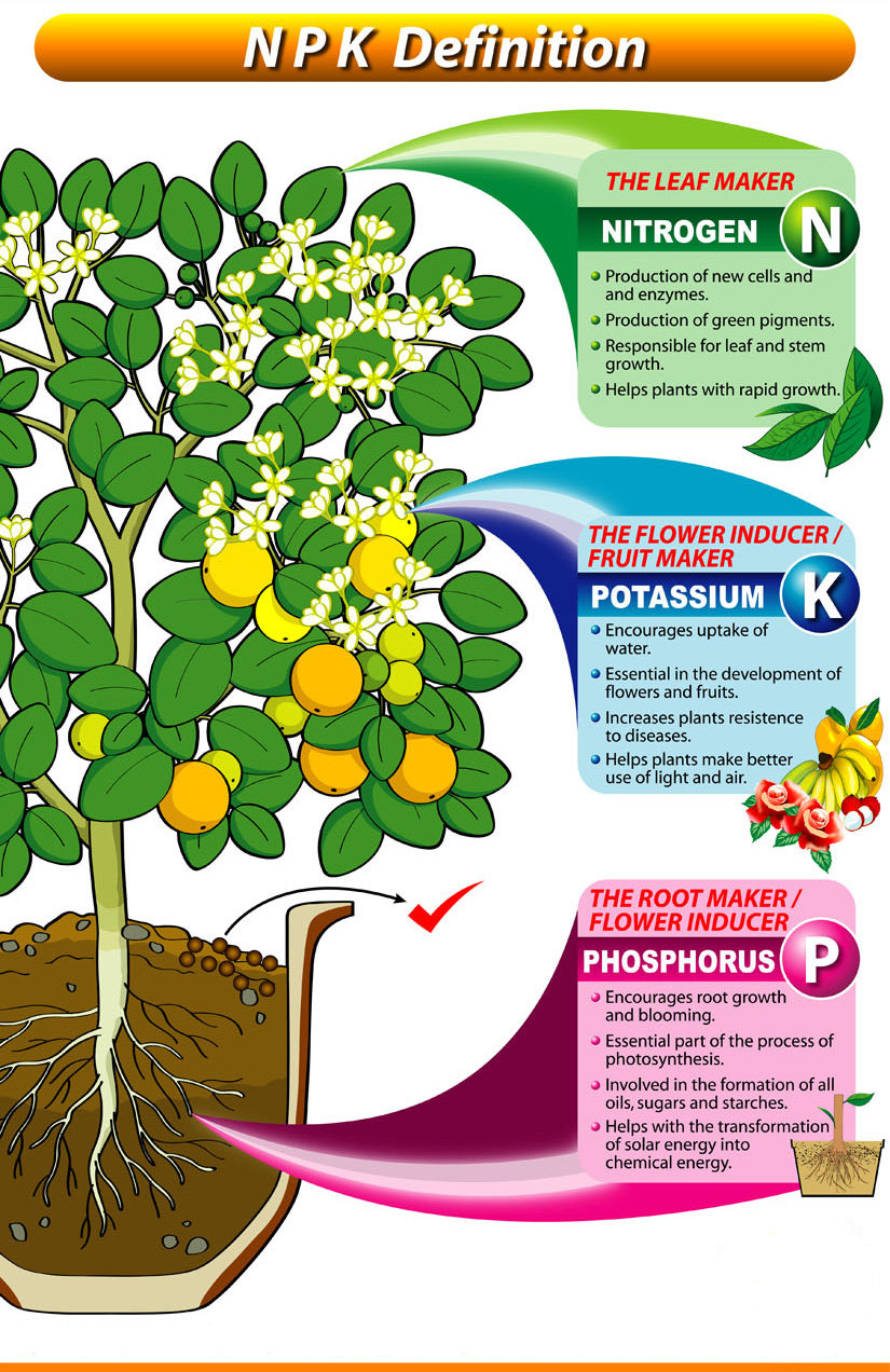 Fertilising 101 archives maintain me